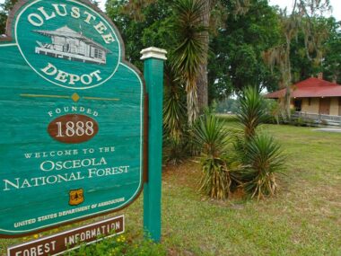 Sheds for Sale Olustee, FL