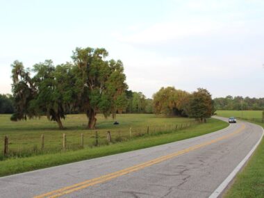 Sheds for Sale Shiloh, FL