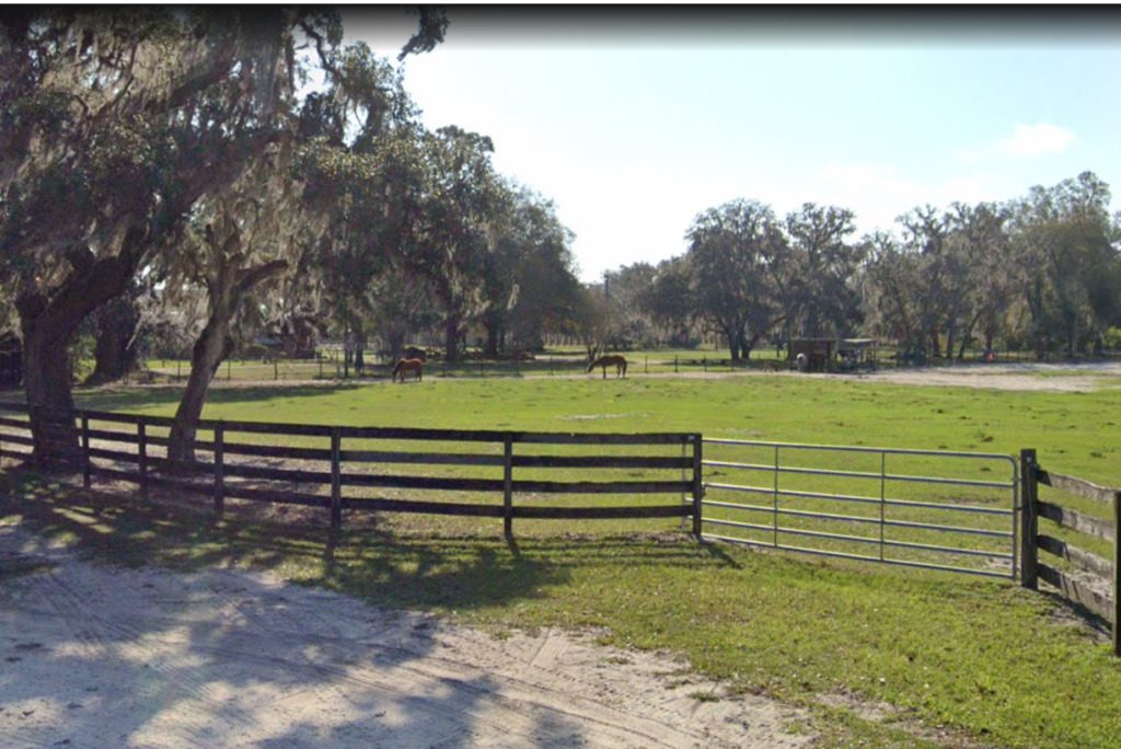 Keen'S Buildings, Sheds For Sale Rerdell, Fl