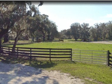 Sheds for Sale Rerdell, FL